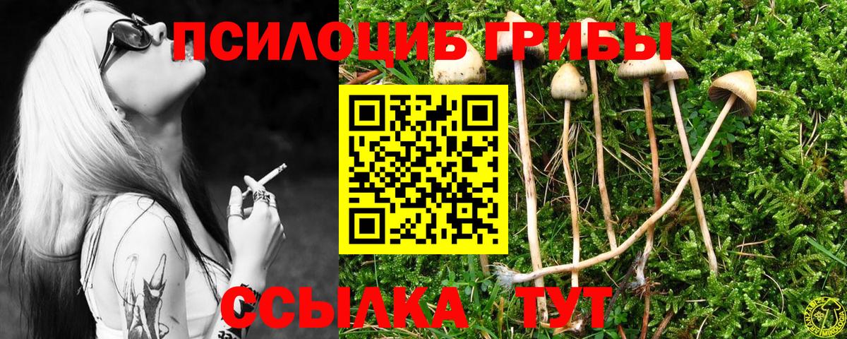 Галлюциногенные грибы Cubensis  Псилоцибиновые грибы ЛСД  Нефтекамск  Вход с VPN 